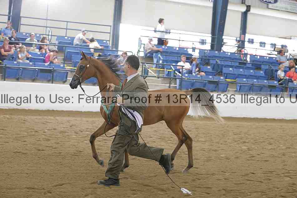 Proof Number 13r14_4536
