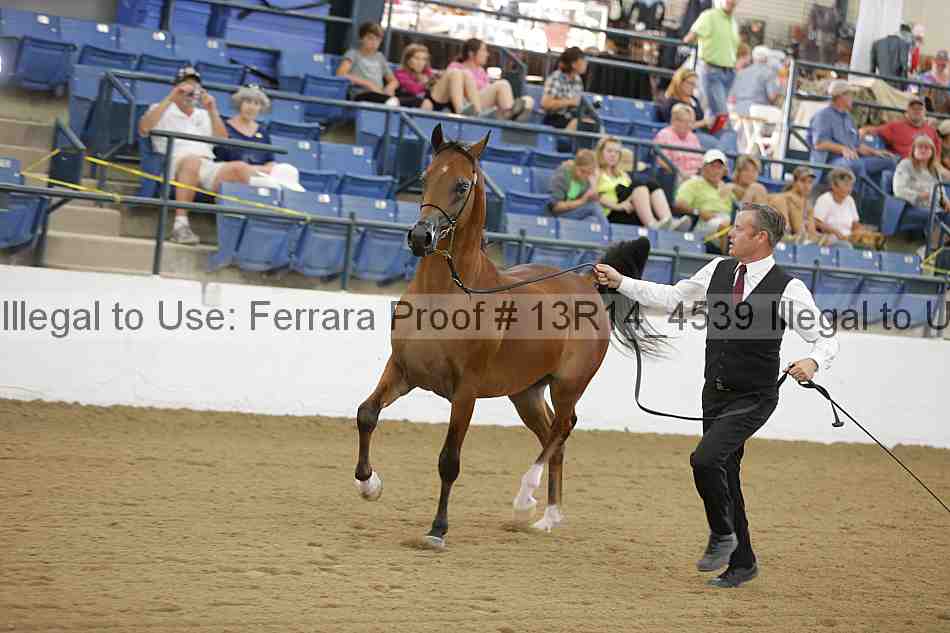 Proof Number 13r14_4539
