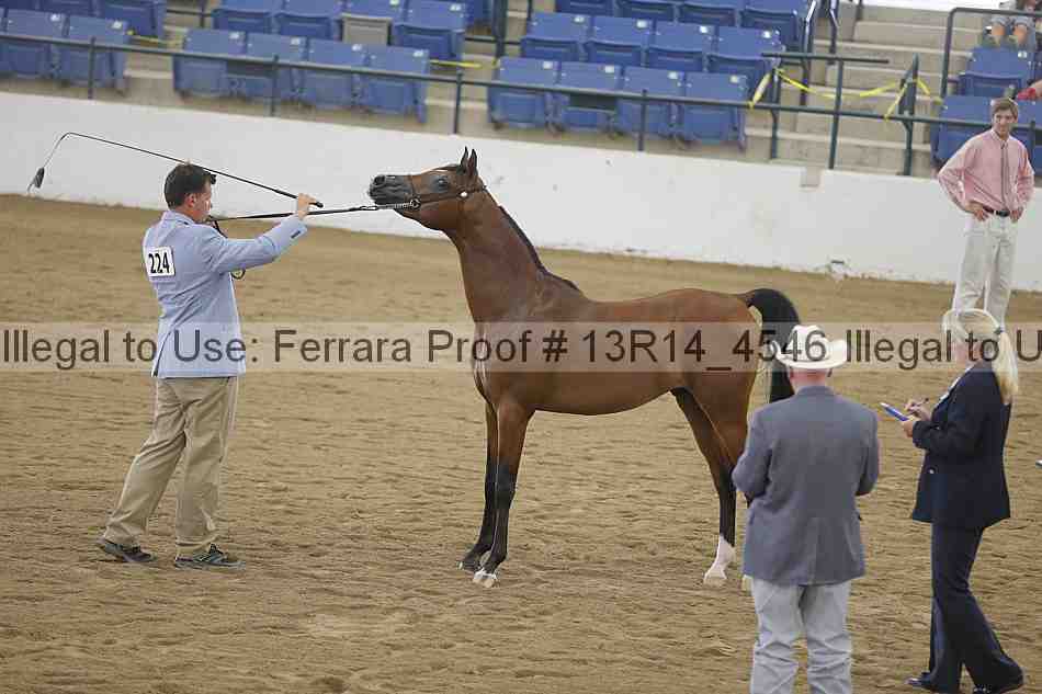 Proof Number 13r14_4546