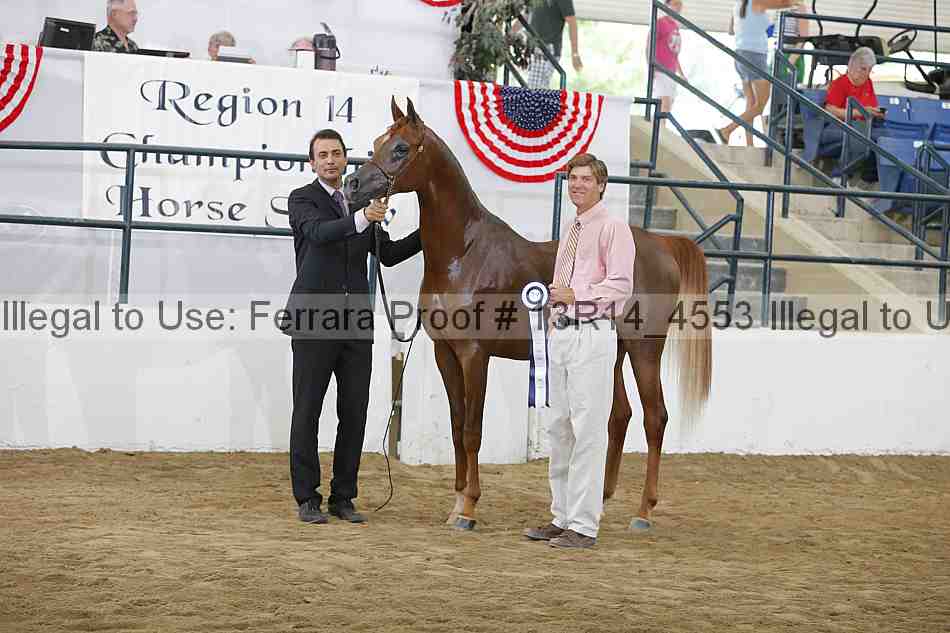 Proof Number 13r14_4553