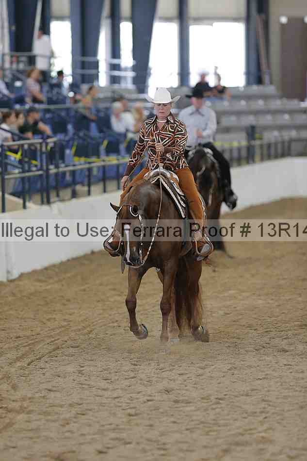 Proof Number 13r14_4589