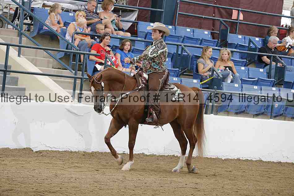 Proof Number 13r14_4594