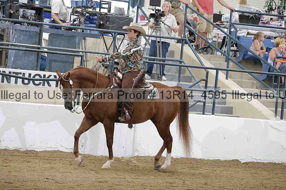 Proof Number 13r14_4595