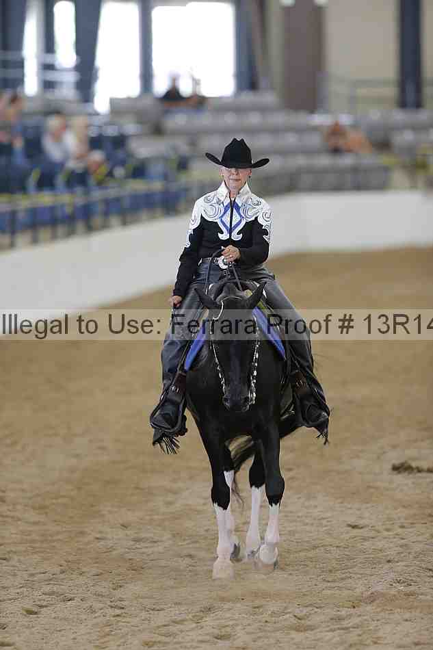 Proof Number 13r14_4603