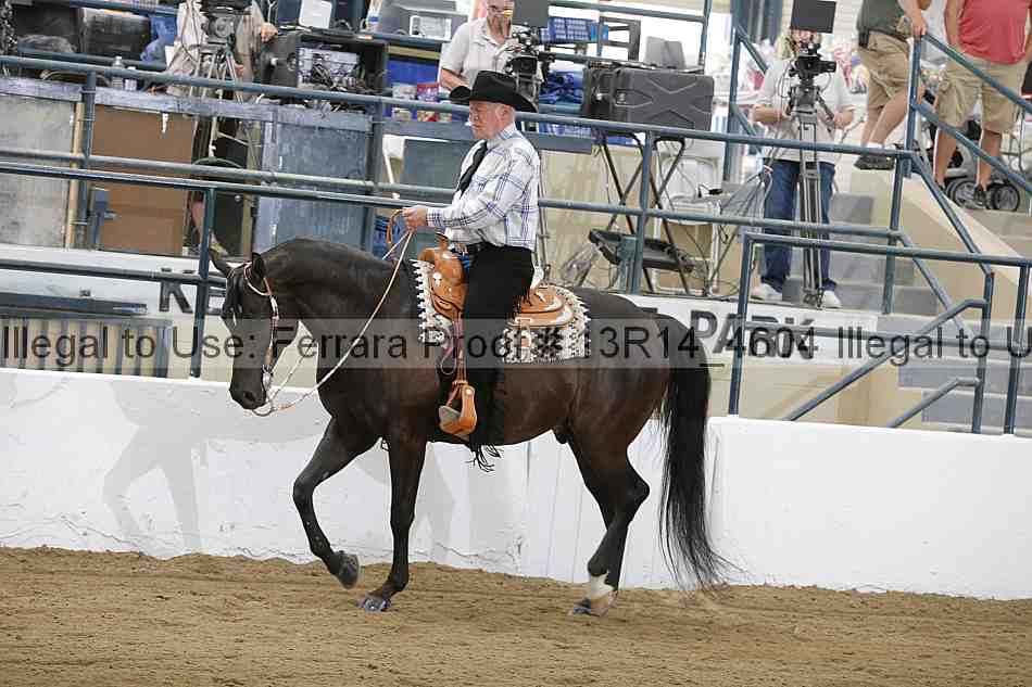 Proof Number 13r14_4604