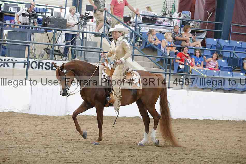 Proof Number 13r14_4607