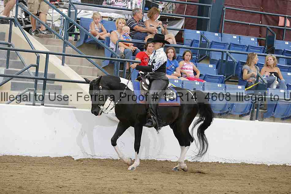 Proof Number 13r14_4608