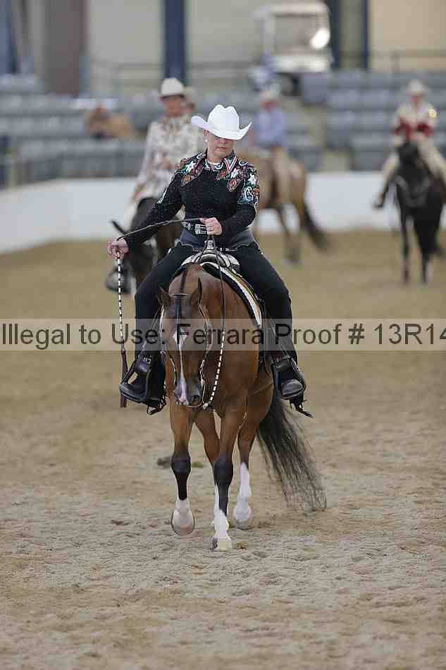 Proof Number 13r14_4609