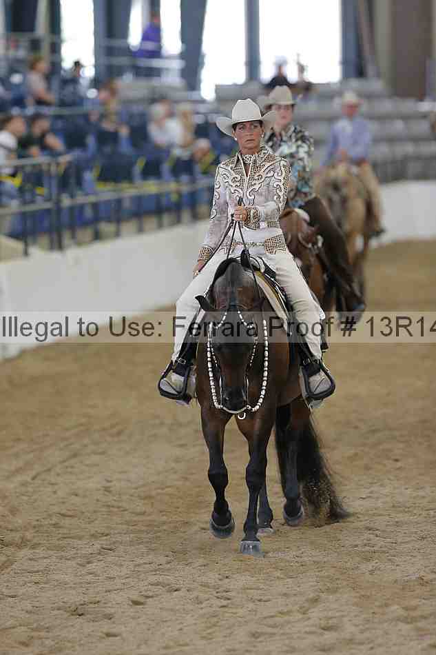 Proof Number 13r14_4613