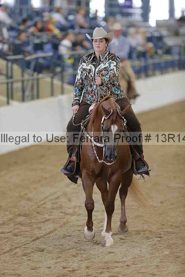 Proof Number 13r14_4615