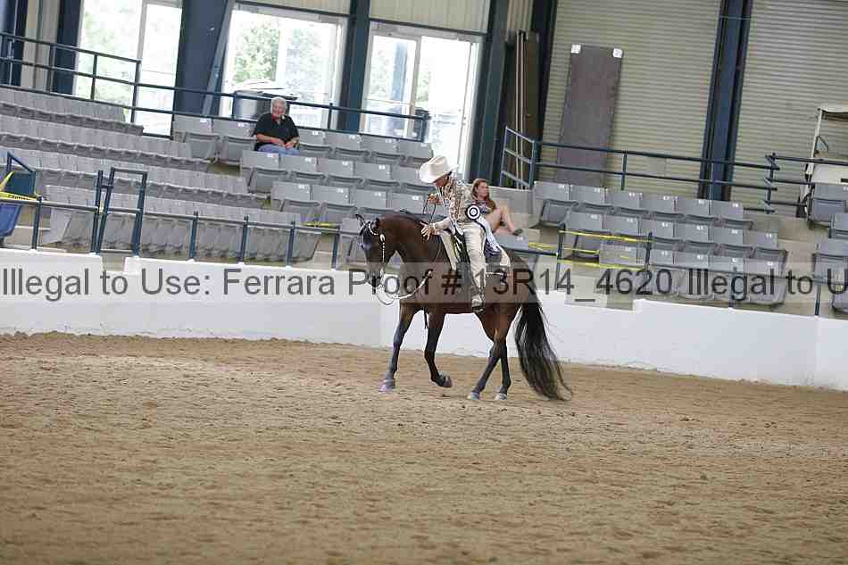 Proof Number 13r14_4620