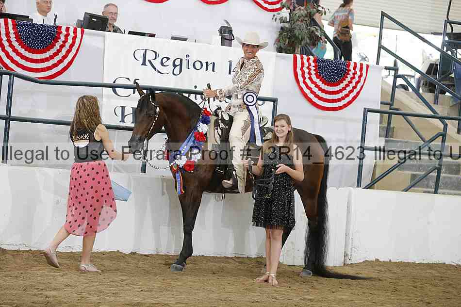 Proof Number 13r14_4623