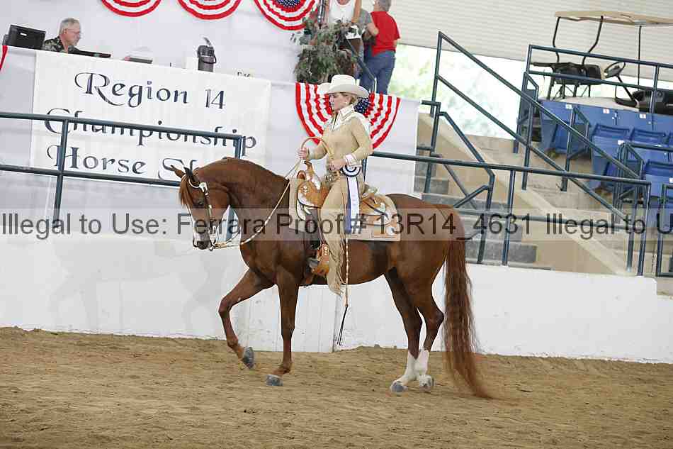 Proof Number 13r14_4631