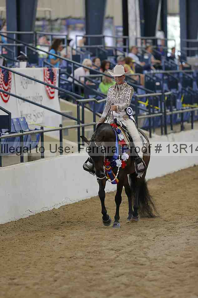 Proof Number 13r14_4642