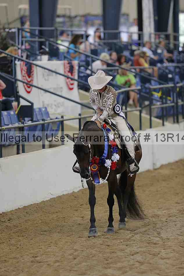 Proof Number 13r14_4643