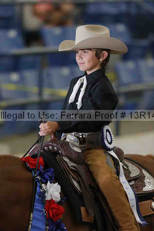 Proof Number 13r14_4685
