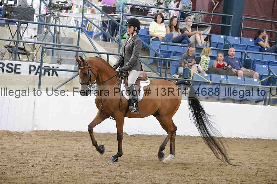 Proof Number 13r14_4688