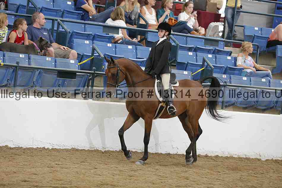 Proof Number 13r14_4690