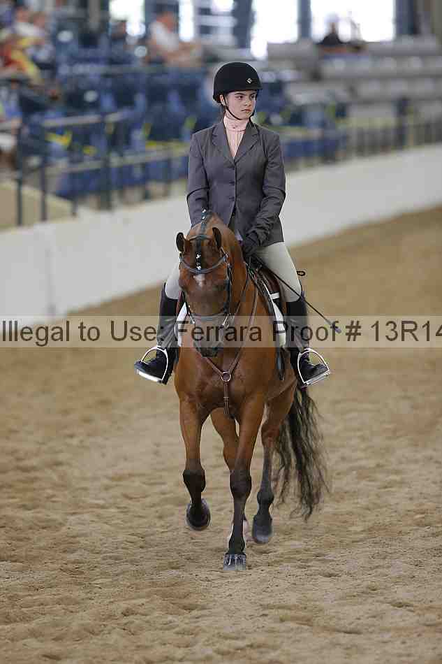 Proof Number 13r14_4693