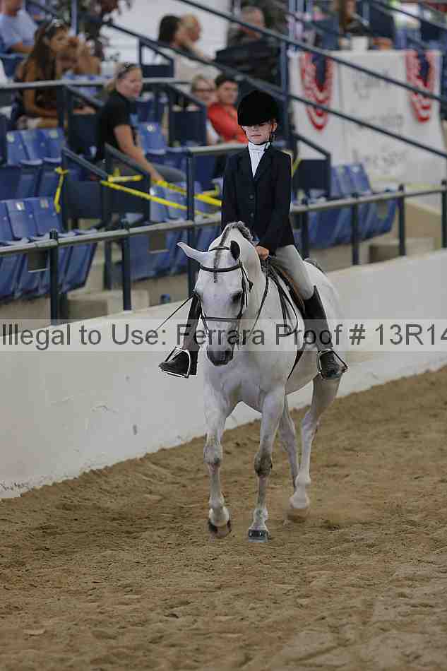 Proof Number 13r14_4696