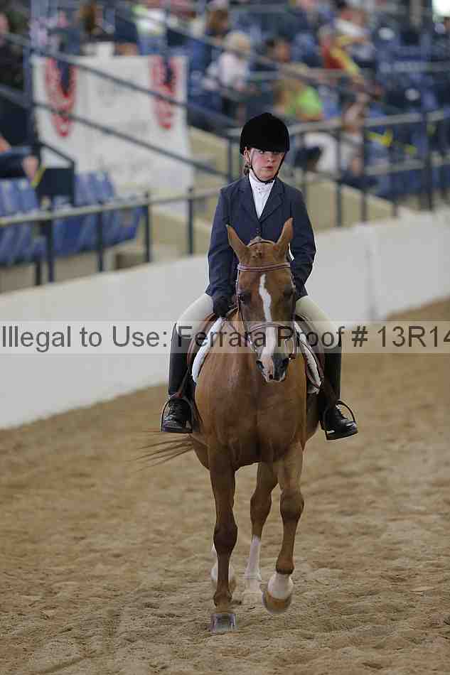 Proof Number 13r14_4697