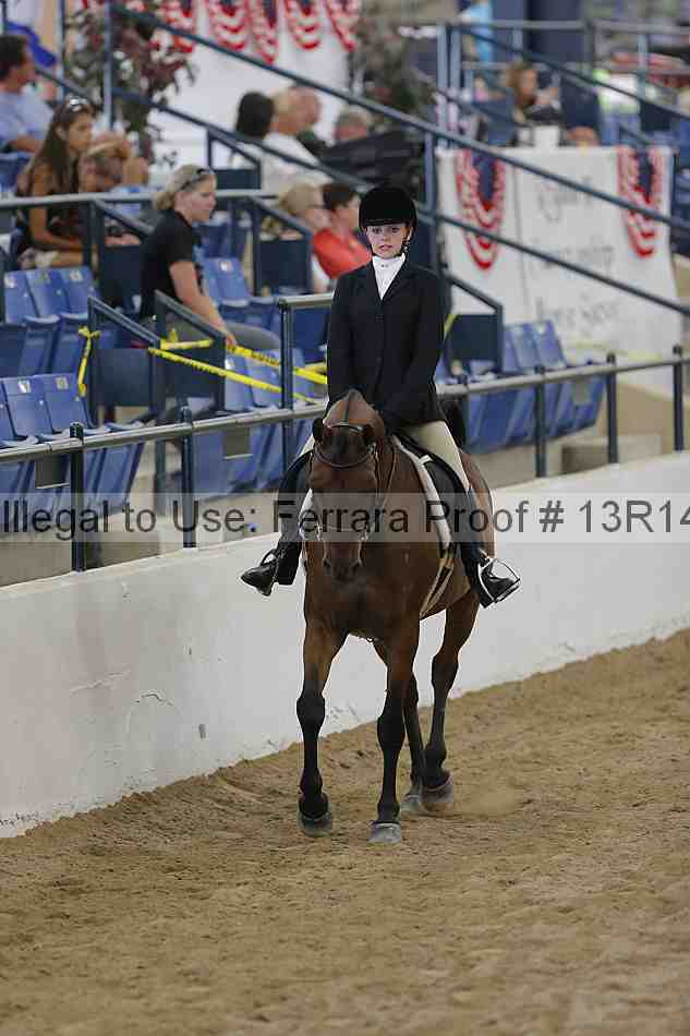 Proof Number 13r14_4699