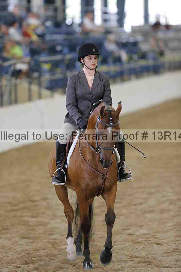 Proof Number 13r14_4700