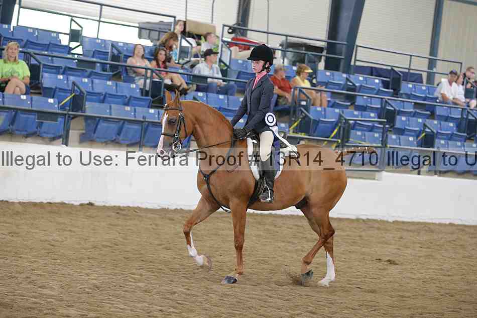 Proof Number 13r14_4710
