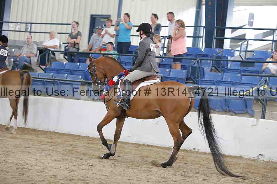 Proof Number 13r14_4721
