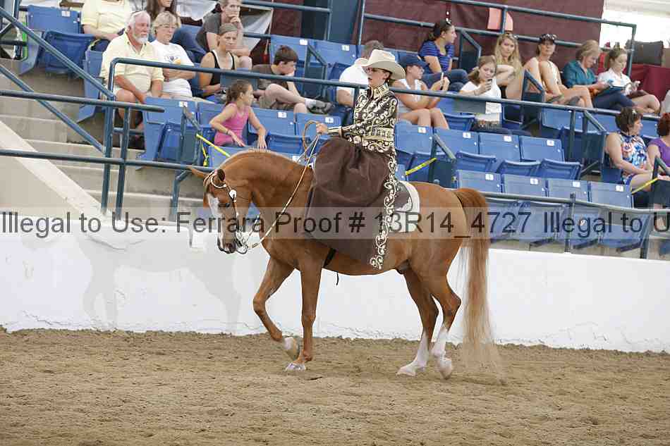 Proof Number 13r14_4727