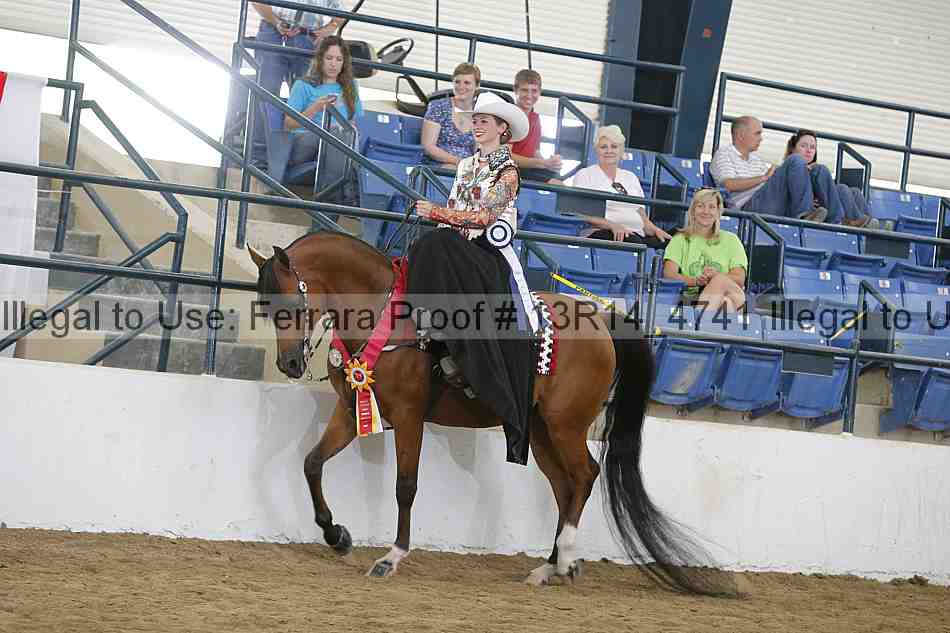 Proof Number 13r14_4741