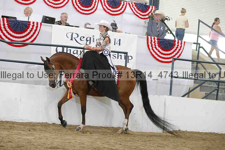 Proof Number 13r14_4743