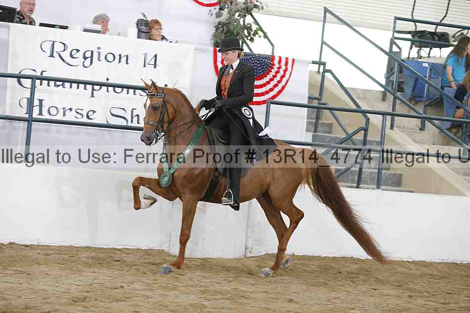 Proof Number 13r14_4774