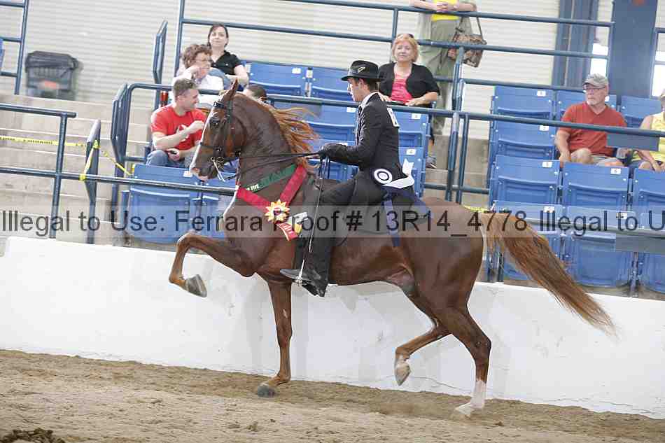 Proof Number 13r14_4778