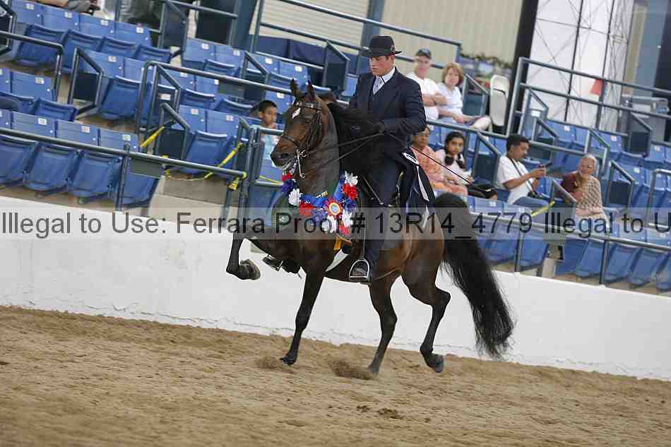 Proof Number 13r14_4779