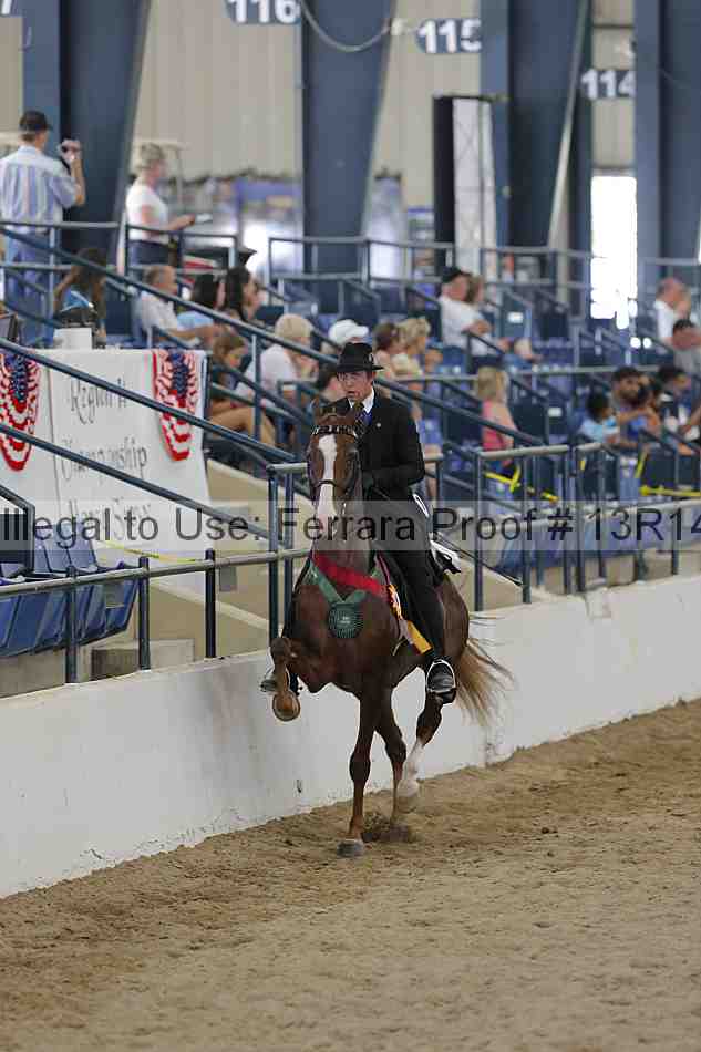 Proof Number 13r14_4780
