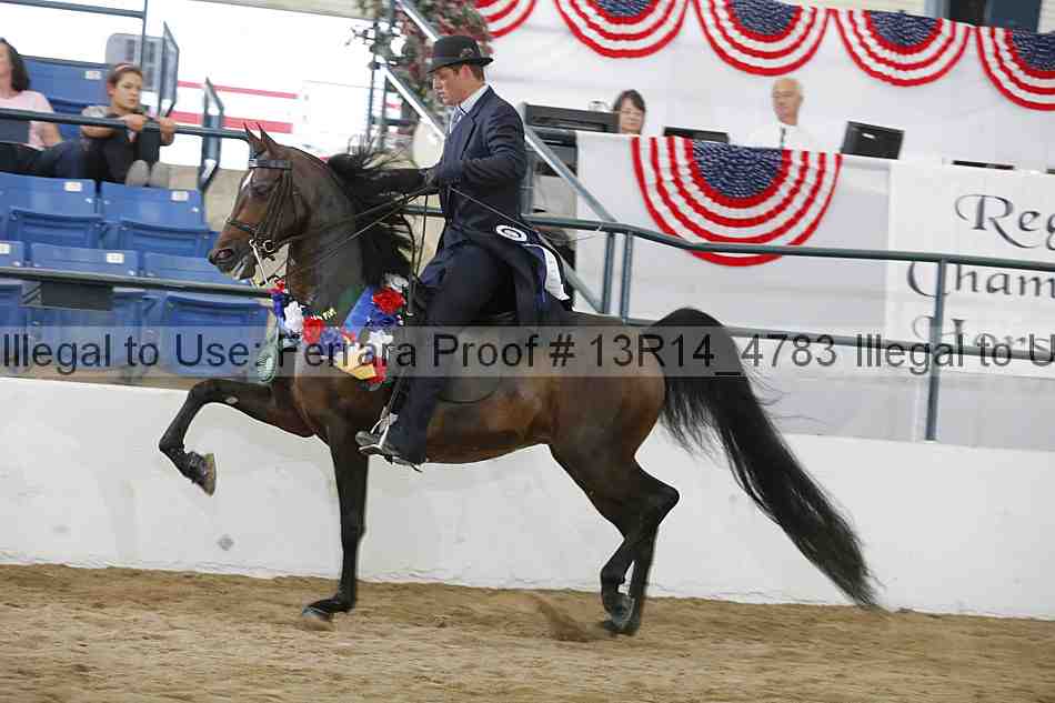 Proof Number 13r14_4783