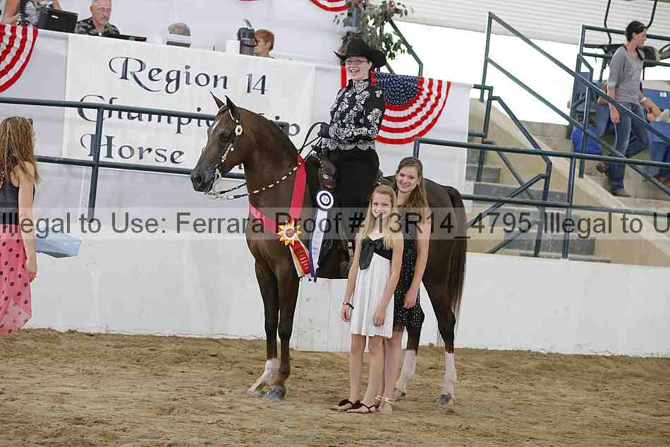 Proof Number 13r14_4795