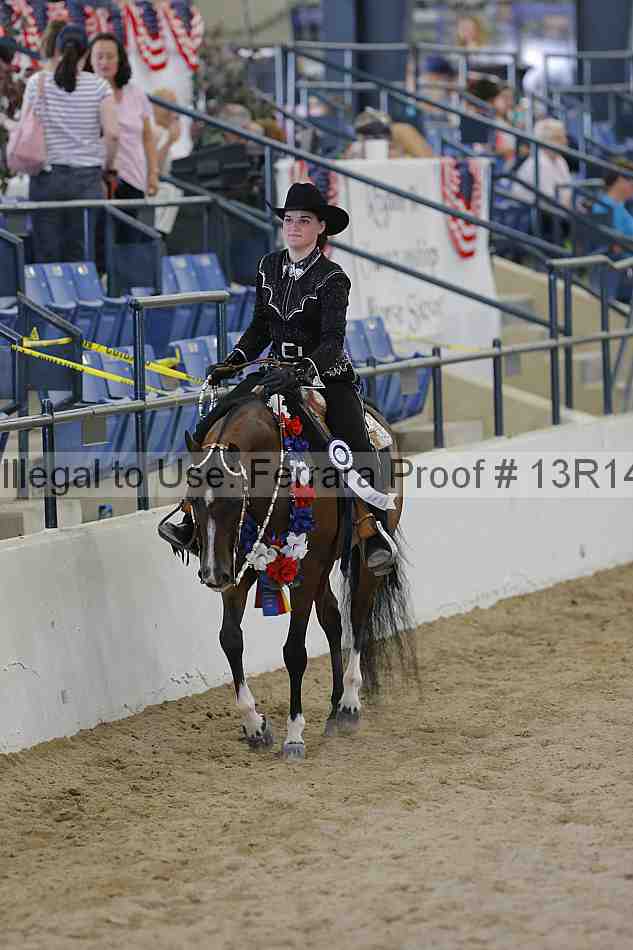 Proof Number 13r14_4819