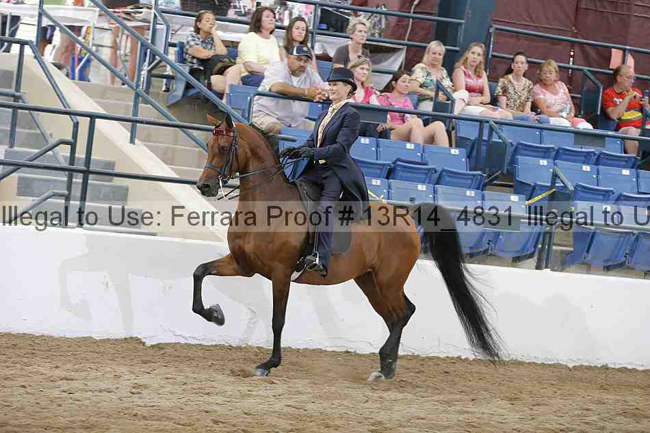 Proof Number 13r14_4831