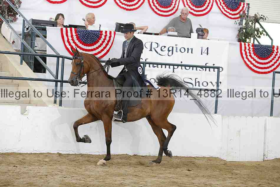 Proof Number 13r14_4882