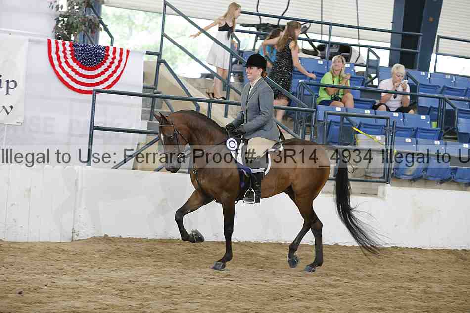 Proof Number 13r14_4934