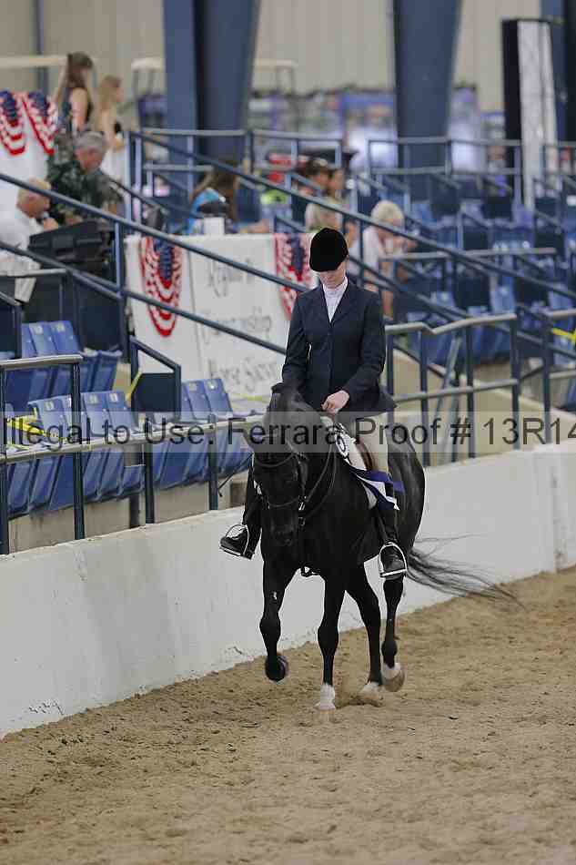 Proof Number 13r14_4935