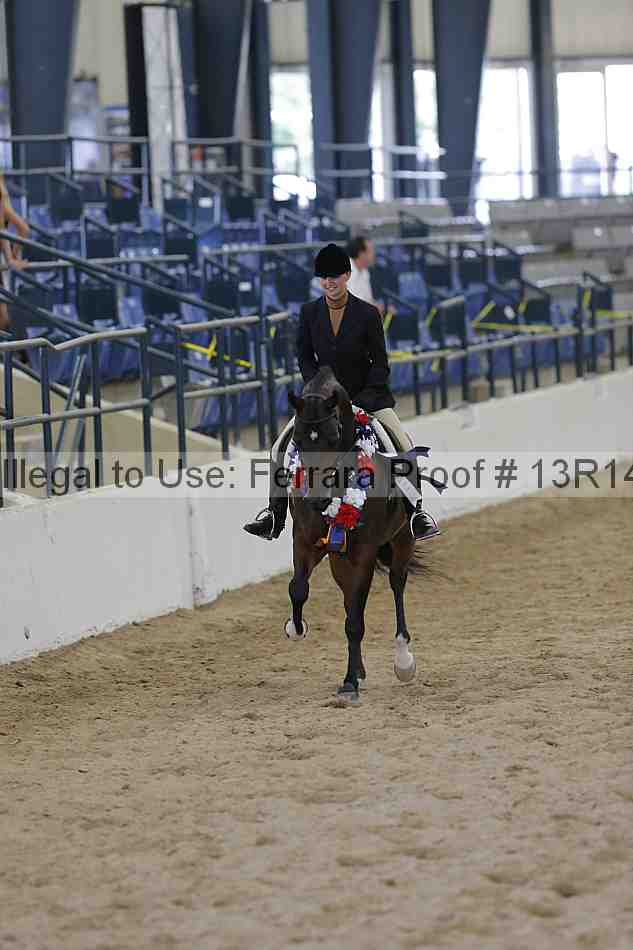 Proof Number 13r14_4952