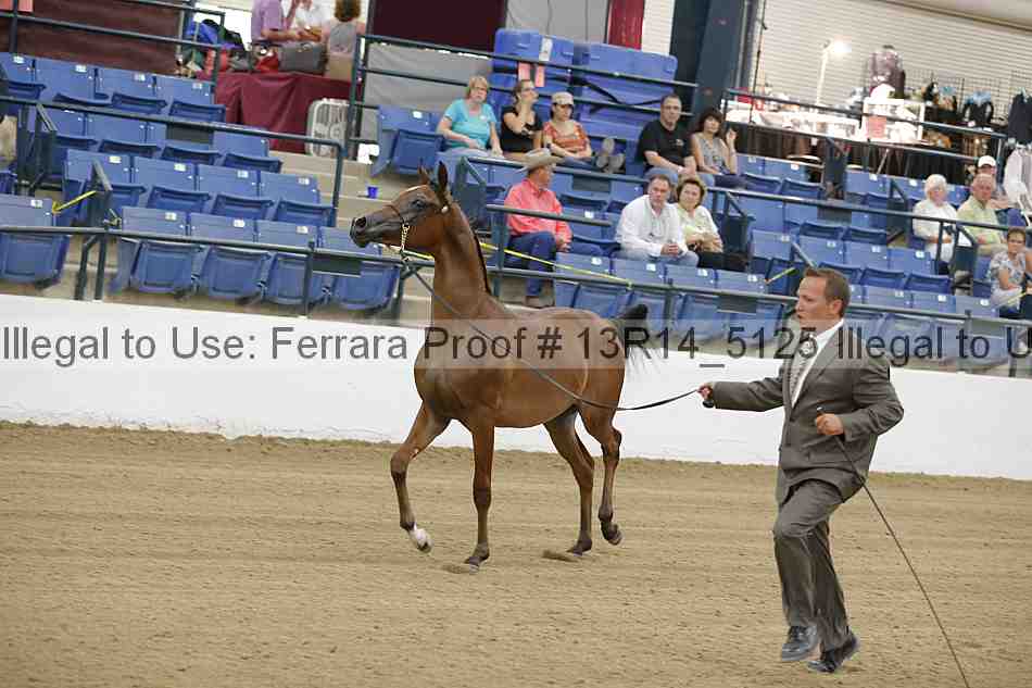 Proof Number 13r14_5125
