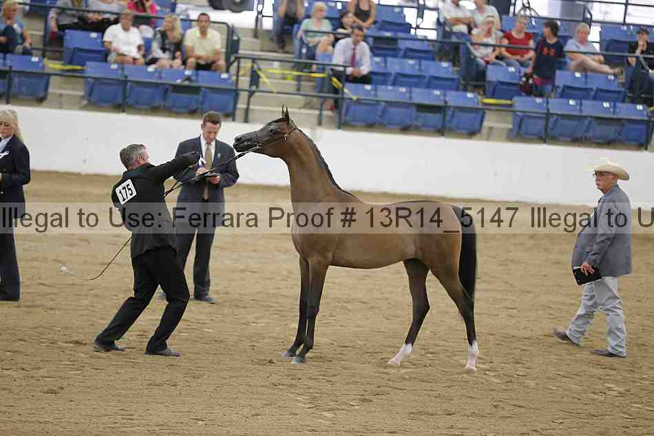 Proof Number 13r14_5147