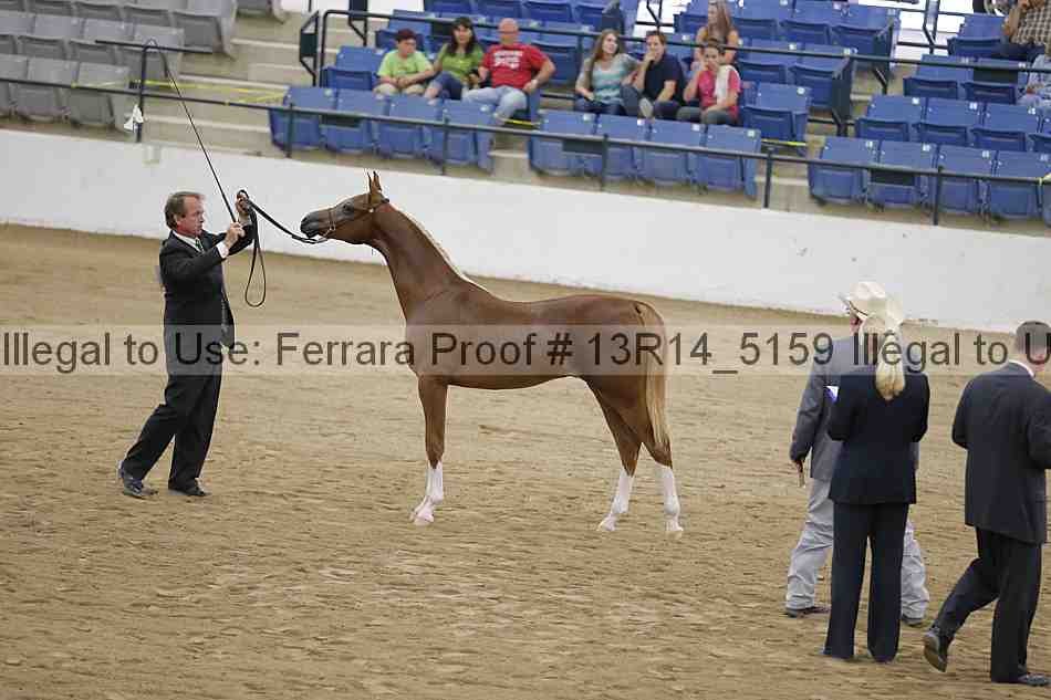 Proof Number 13r14_5159