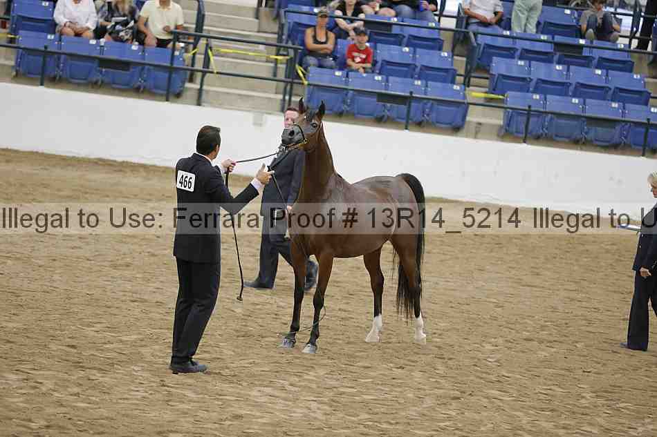 Proof Number 13r14_5214