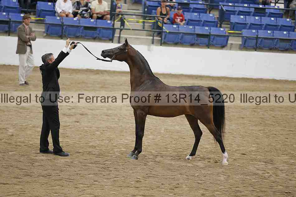 Proof Number 13r14_5220