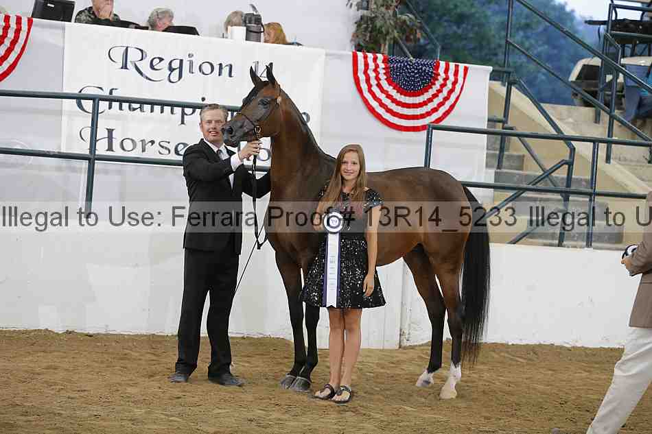Proof Number 13r14_5233